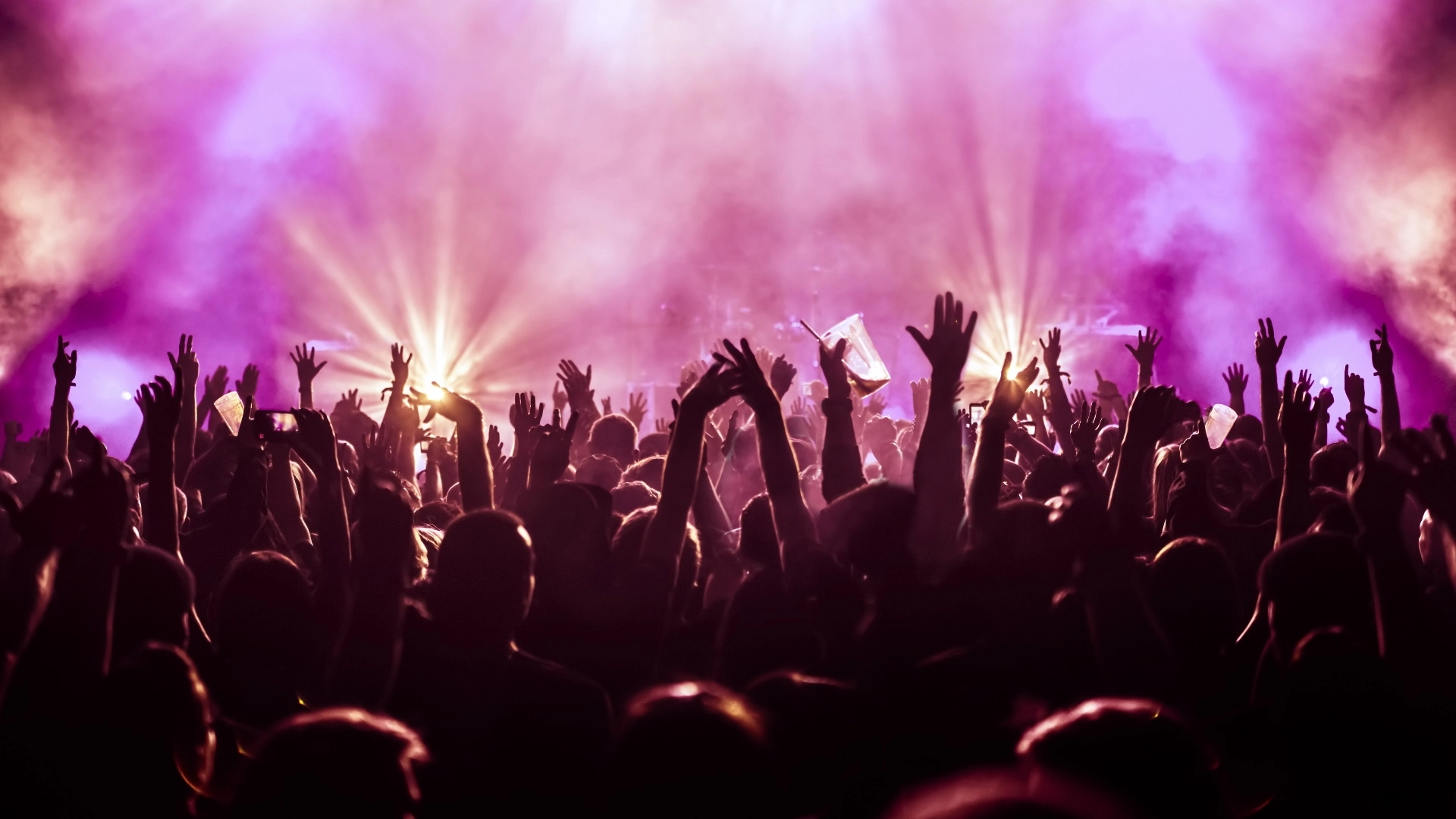 Festival ve Spor Etkinlikleri